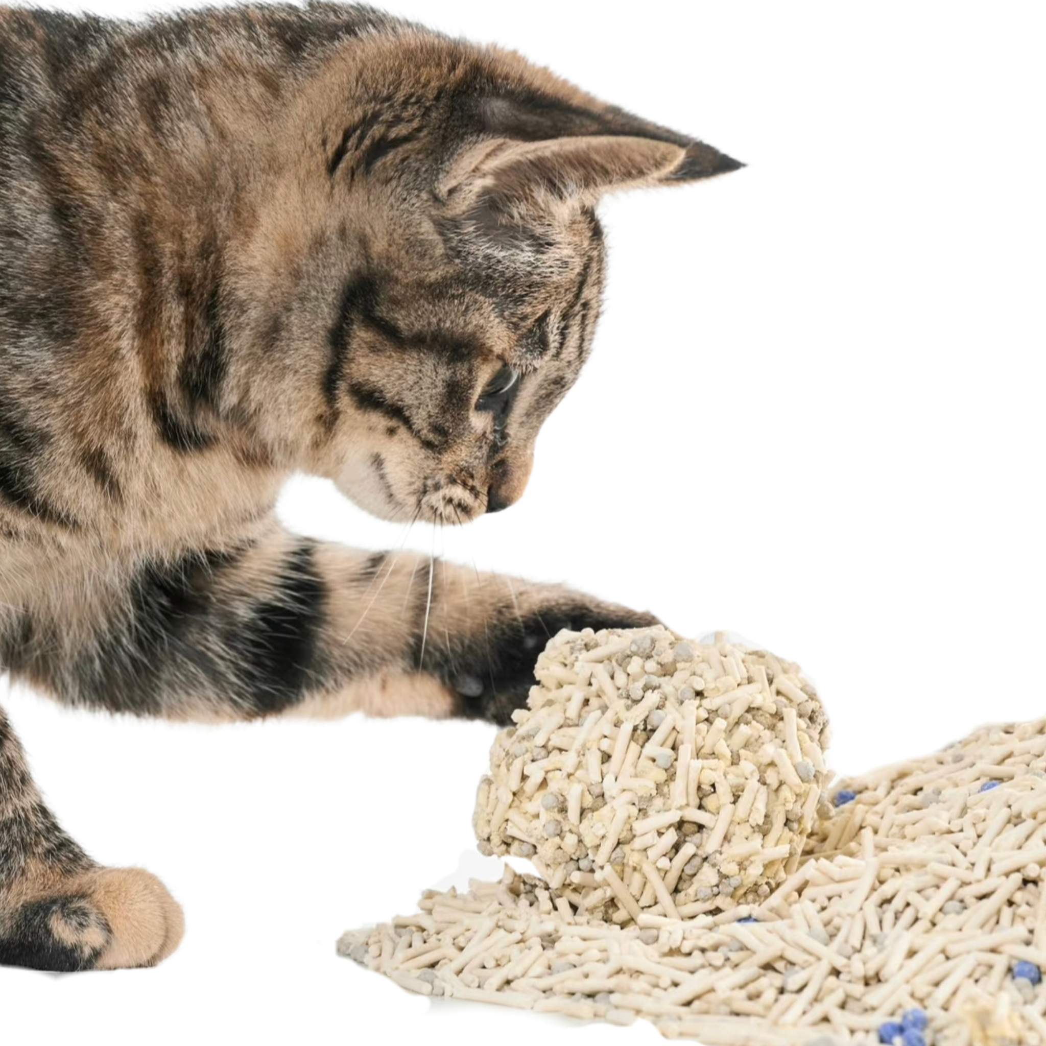 微信图片 20260417155248 28 5